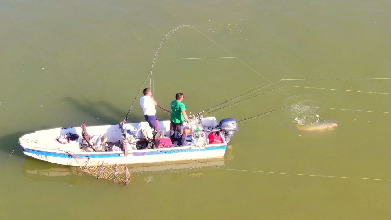 Pecanje šarana na Dunavu - Dubinsko pecanje šarana 5 | Fishing carp in river 5