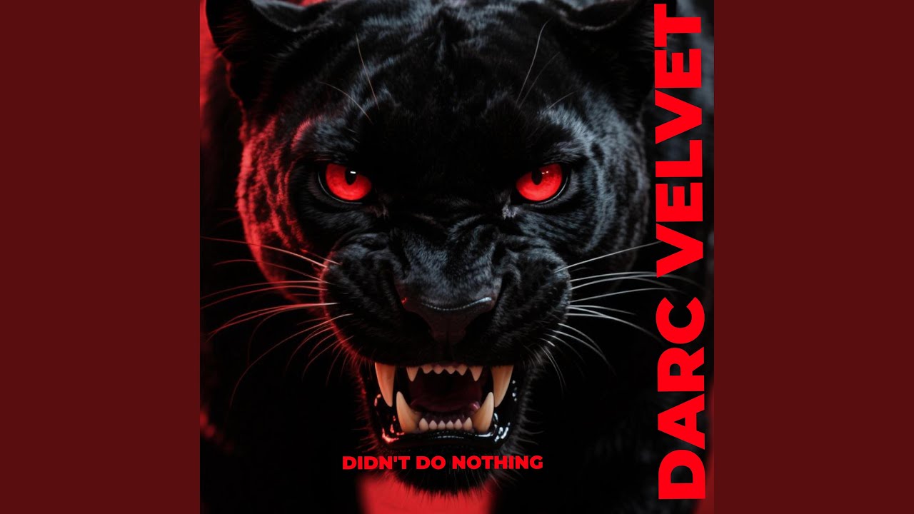 DIDN'T DO NOTHING