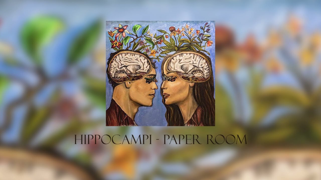 Hippocampi - Paper Room (Official Audio)