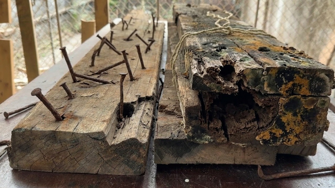 Why This Rusty Wood is Worth Millions of Dollars!