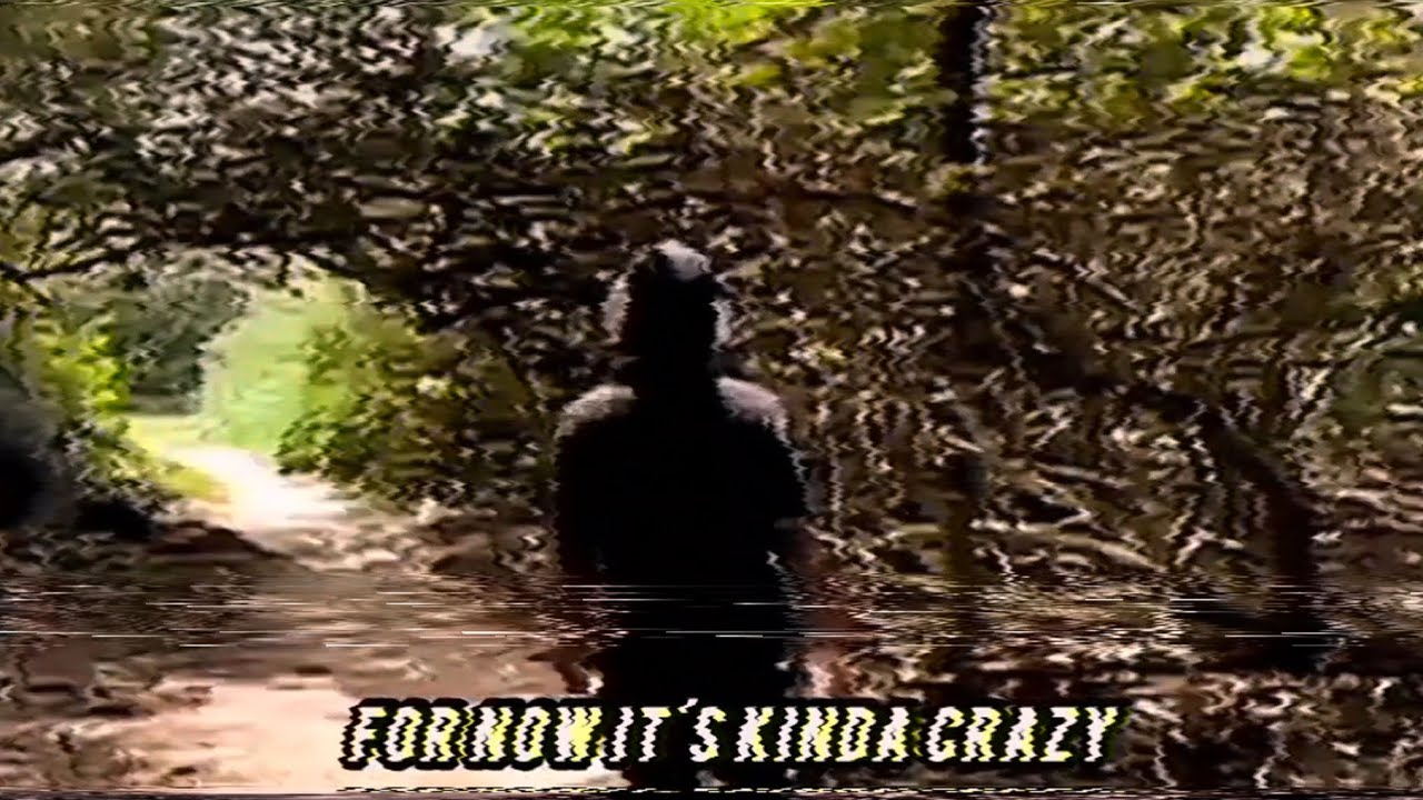 Saige - Hold Me (Interlude) 