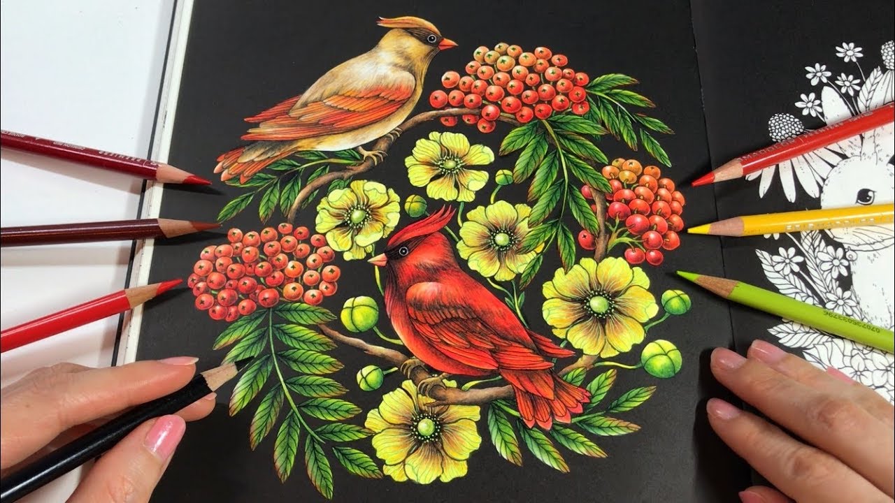 BIRDS & BERRIES COLORING - Cardinal Love Birds | Botanicum Coloring Book