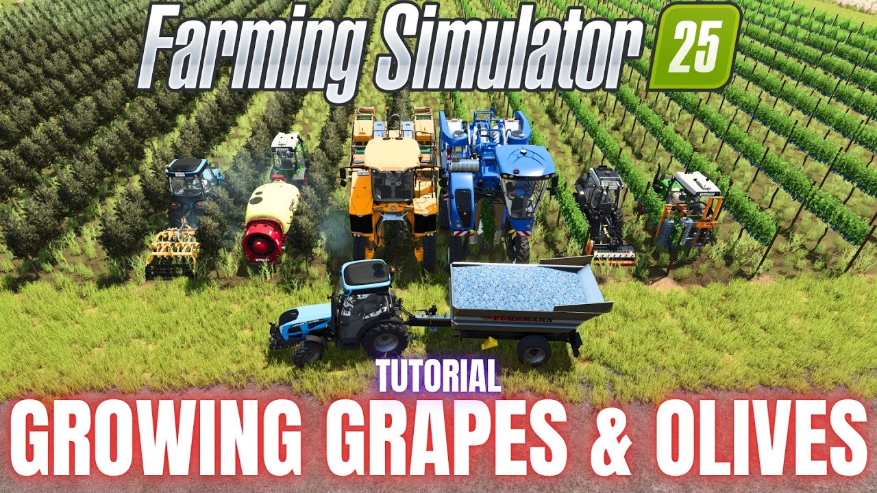 ВЫРАЩИВАНИЕ ВИНОГРАДА И ОЛИВОК — ОБУЧЕНИЕ — Farming Simulator 25