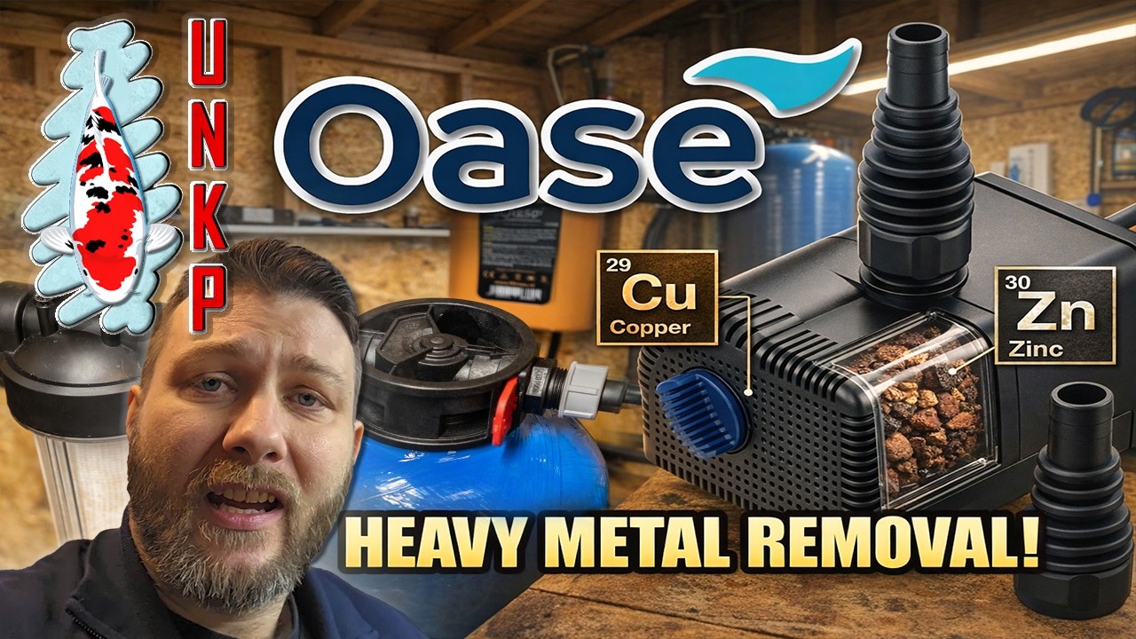 Upgrading My Koi Pond Filtration to Remove Heavy Metals