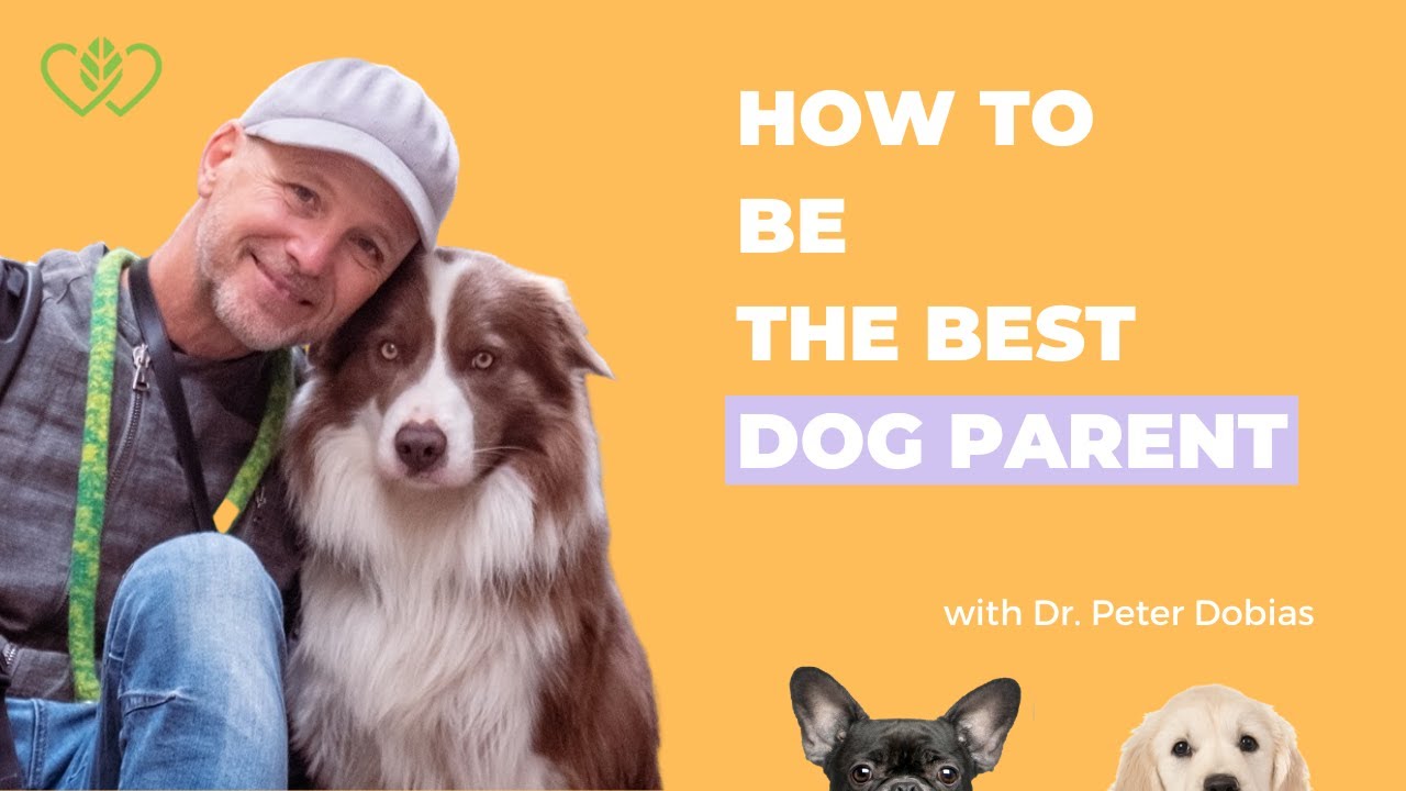 Mastering the Art of Dog Parenting: Tips and Techniques| With Dr Peter Dobias & Catherine Edwards