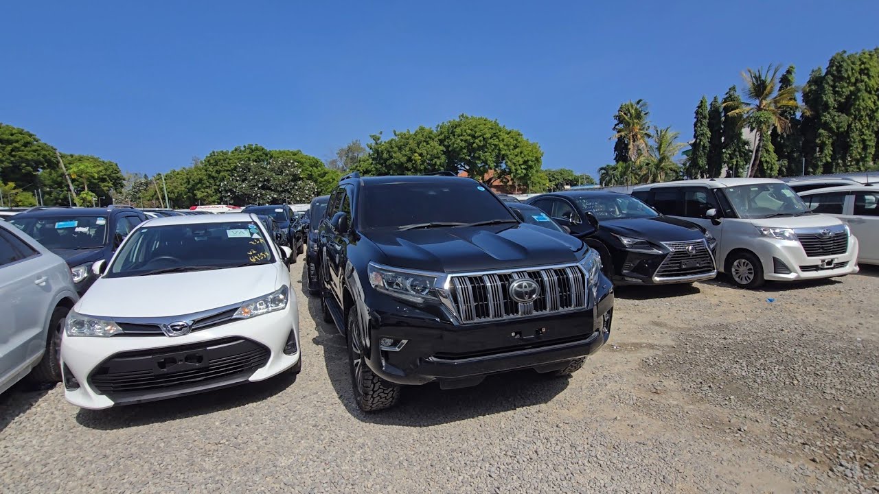 THESE CARS WILL MAKE YOUR OFFROAD ADVENTURES UNFORGETTABLE || 0711431667