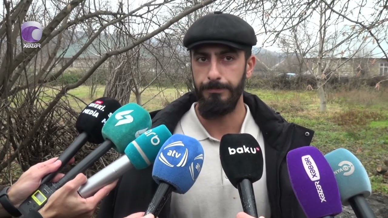 Şəkidə canavar sakinlərə hücum edib, xəsarət alanlar var