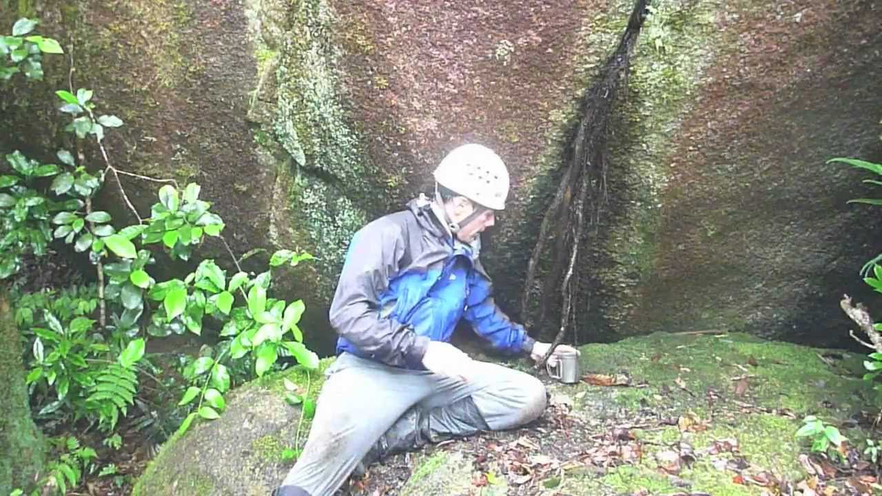 Climbing Mt Bartle Frere