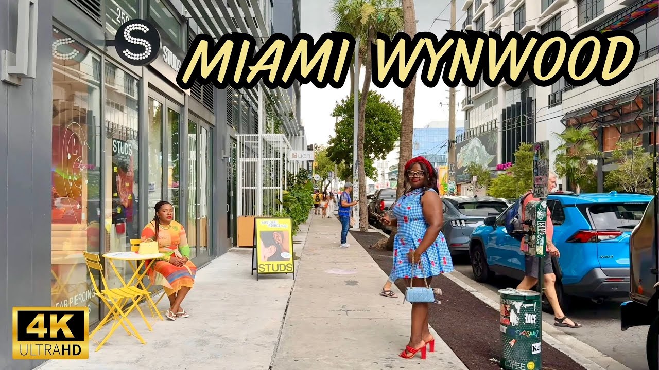 Wynwood Miami Walking Tour 🌴 Graffiti Walls & New Towers