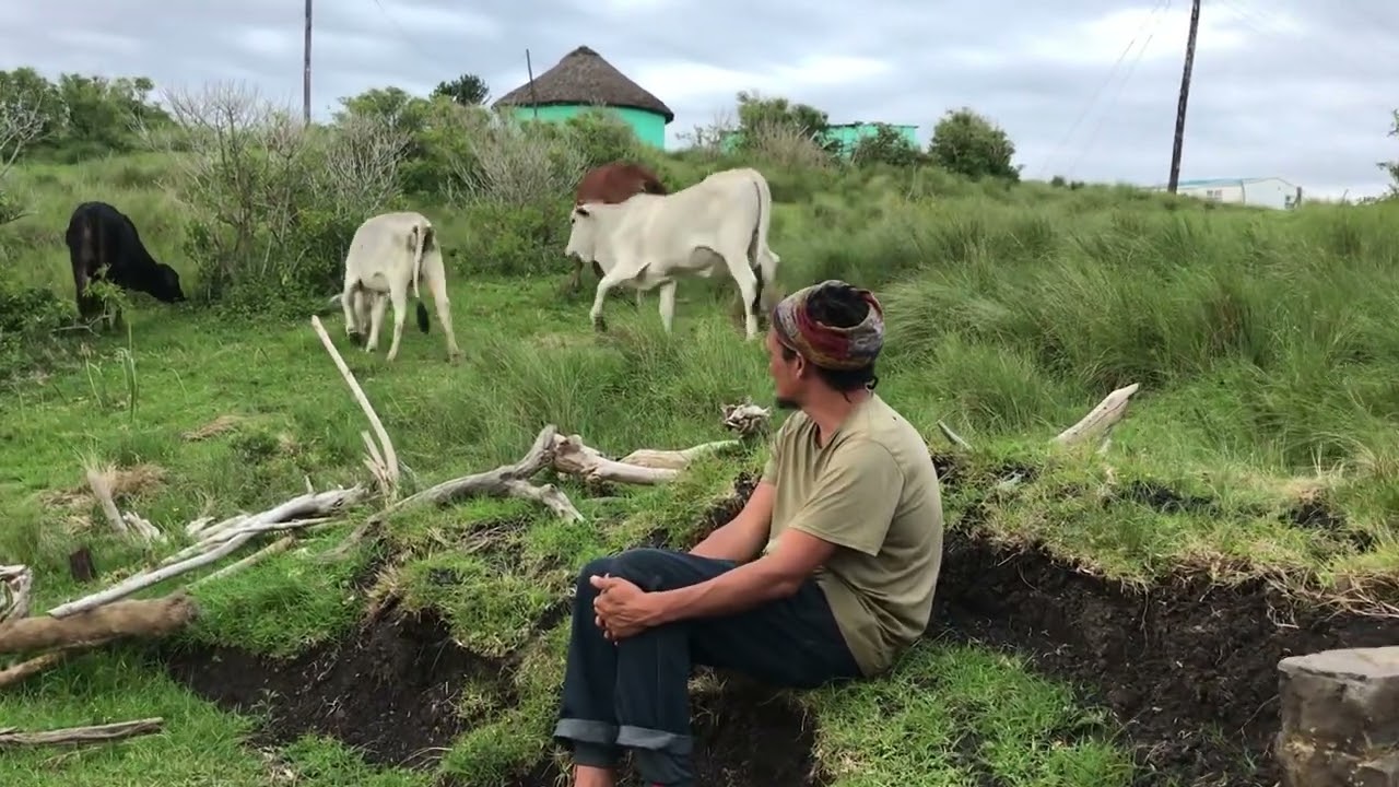 Last moments in the Transkei || Rural Village life South Africa