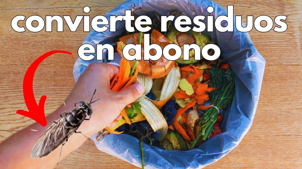 Esto te puede cambiar la vida (mosca soldado)