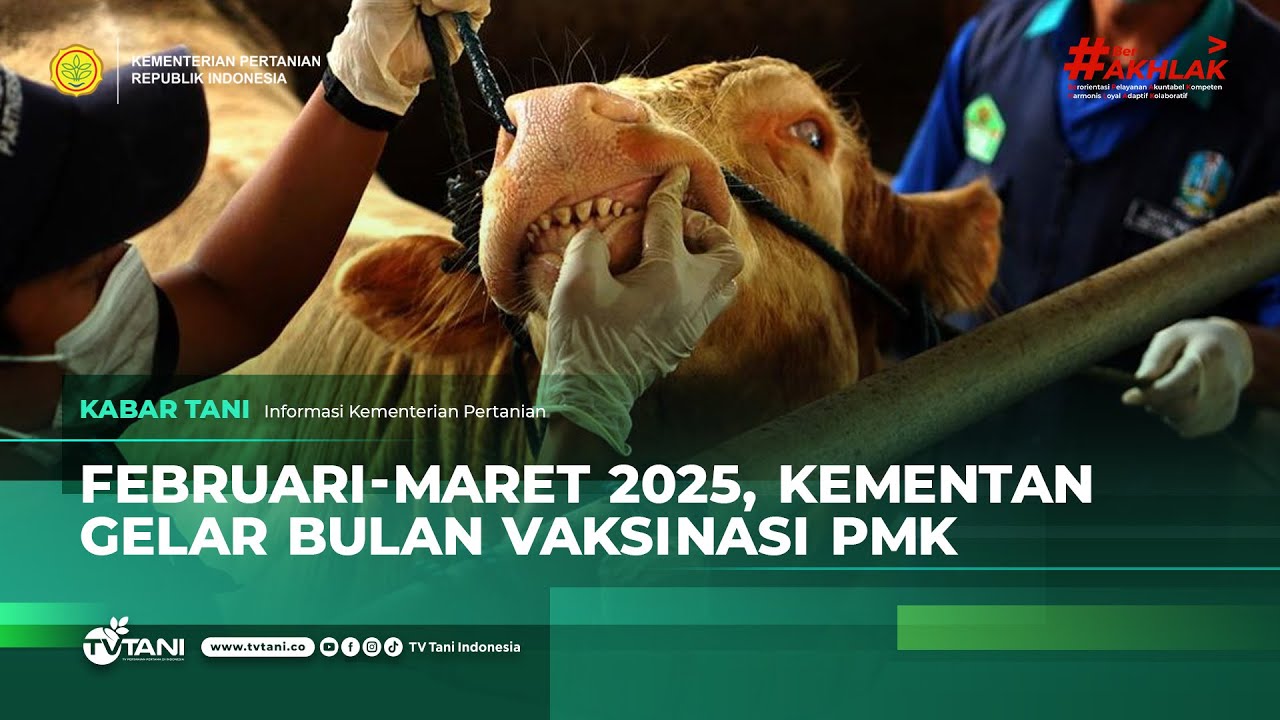Kementan Galakkan Vaksinasi Hewan Ternak Cegah Penyebaran PMK