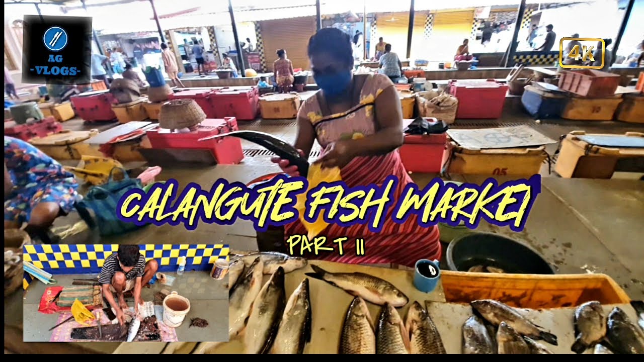 CALANGUTE FISH MARKET | PART II | GOA VLOG