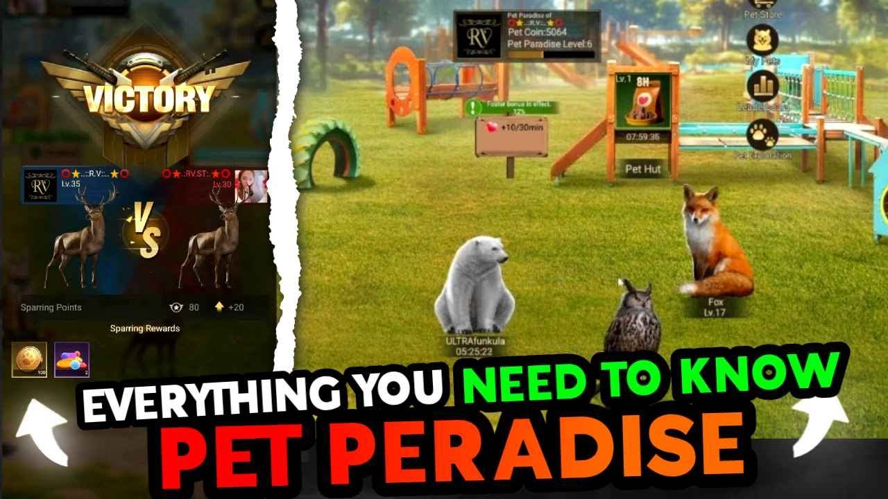 Pet Paradise 🔥 Everything You Need To Know 🔥 Tips & Tutorial ::: Last Shelter Survival #24EGaming