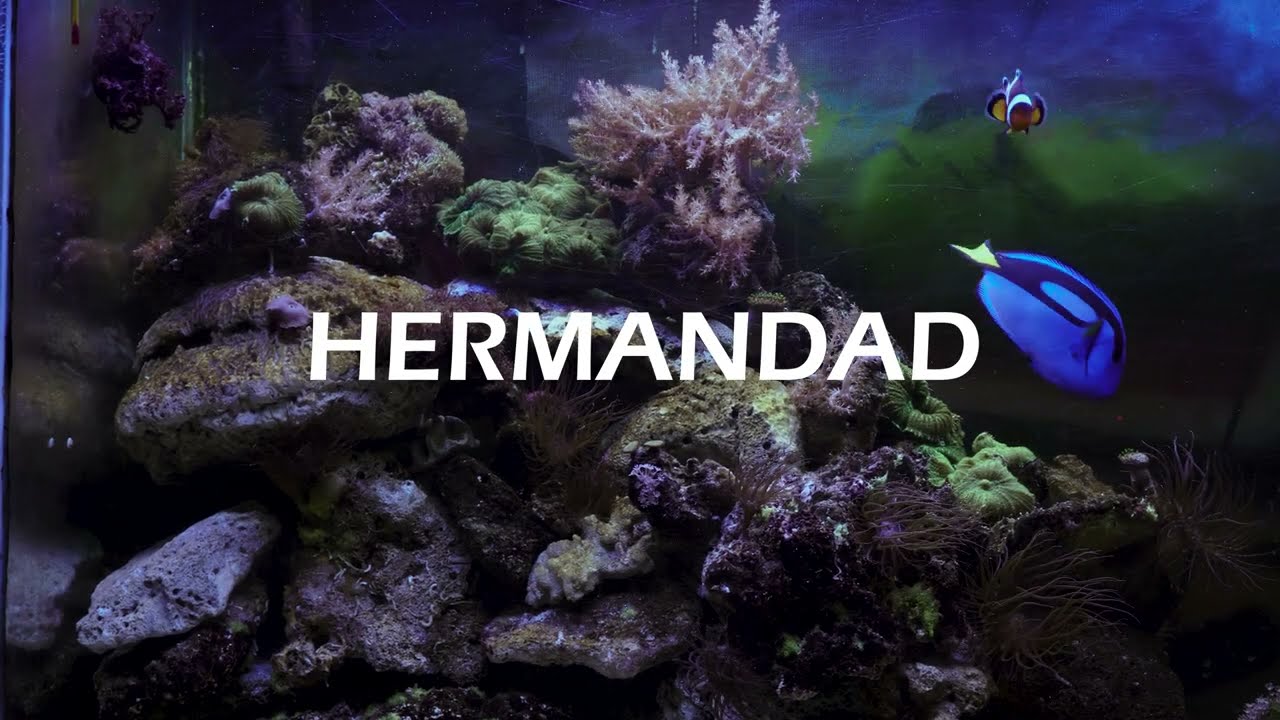 HERMANDAD FT FLACO MUSIC (M.E.M).