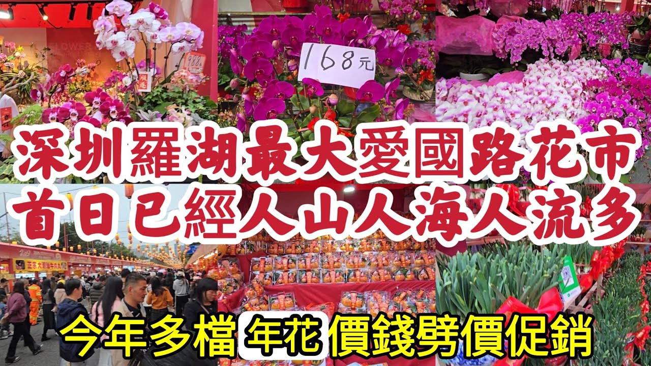 深圳羅湖最大愛國路花市 首日已經人山人海人流極多 今年多檔年花價錢劈價促銷 香港人到場掃平貨！
