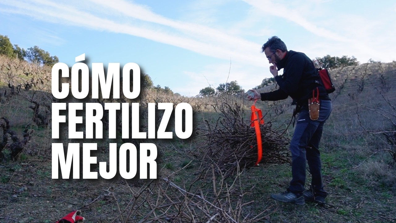 Comparativa entre fertilizantes en el vigor y producción de la vid