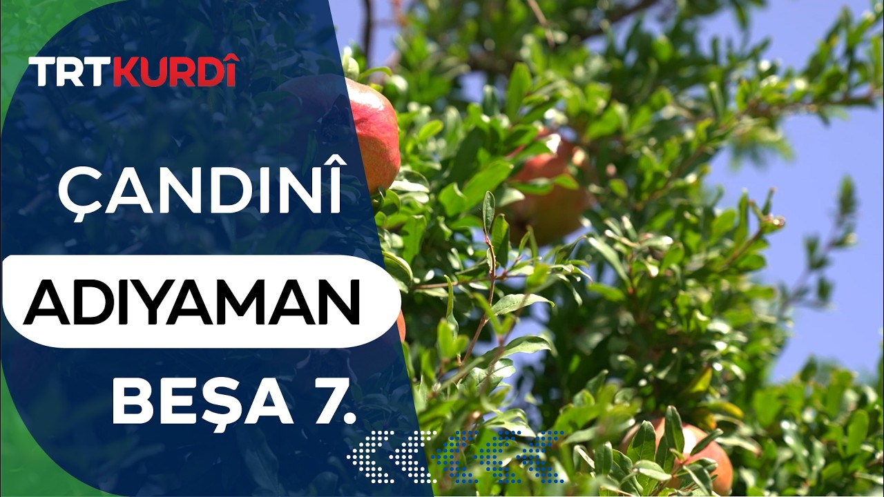 Çandinî - Beşa 7. (Adıyaman)