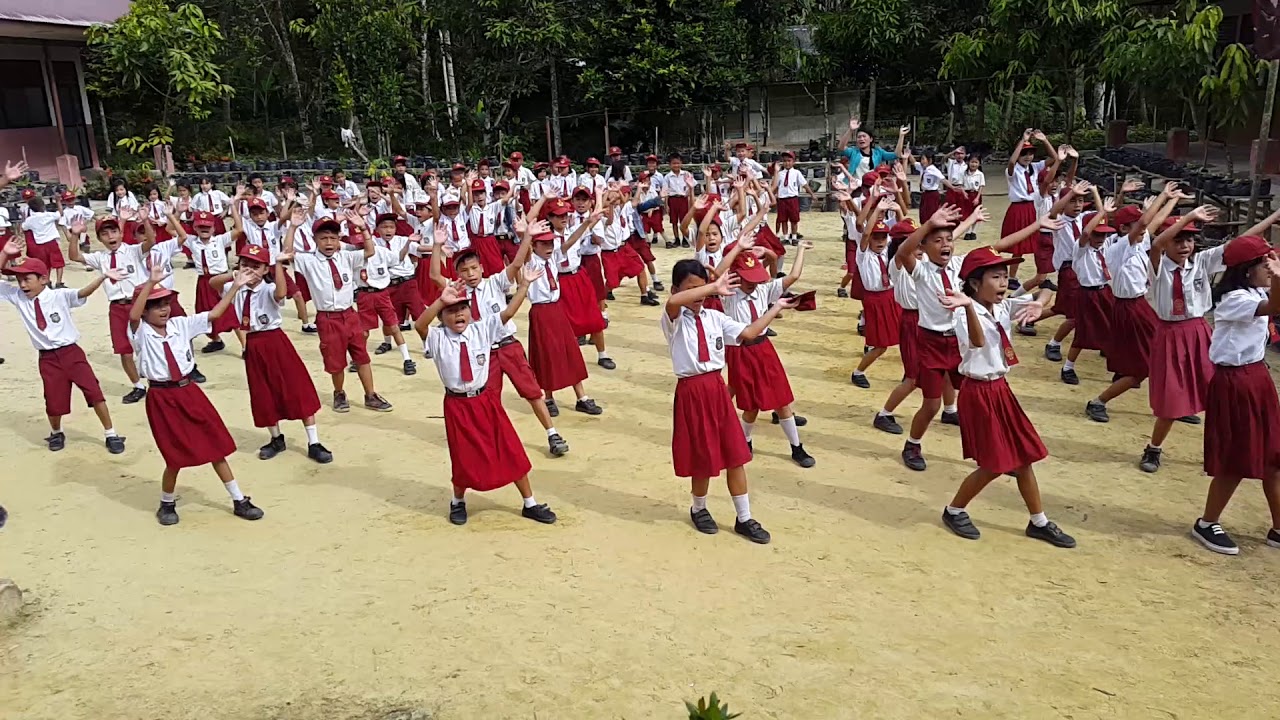 Tari Maena (Tarian Tradisional Nias)