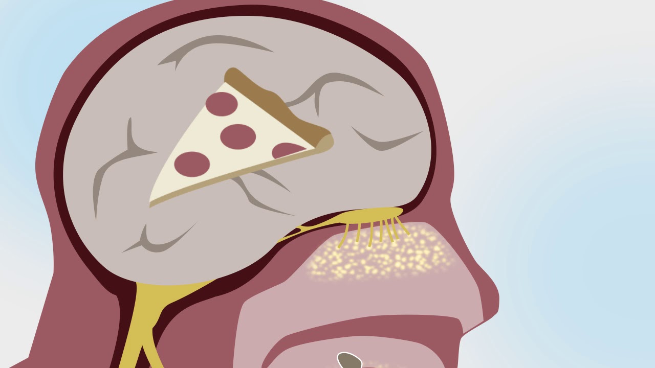 A Tasting of Culinary Science—Taste