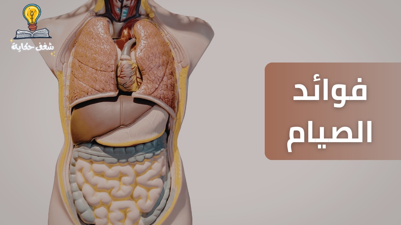 اكتشف الفوائد الصادمة للصيام على جسم الإنسان
