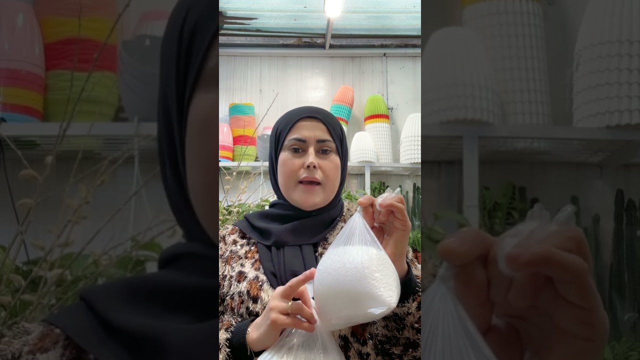 چەند جیاوازییەکی نێوان کوت وبپێرلایت