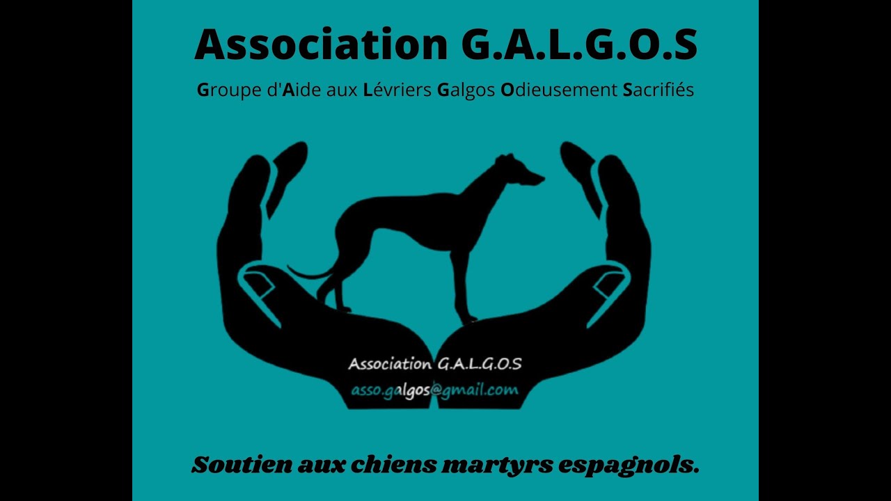 FILM DE L'ASSOCIATION G.A.L.G.O.S
