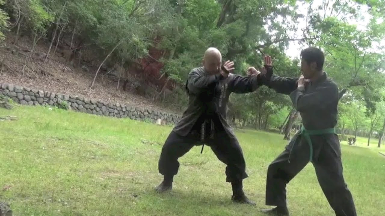 Ninjutsu Kyoto Japan 🇯🇵 SUMMER FREE Ninjutsu Class The fundamentals techniques of Togakure Ryu Ninpo