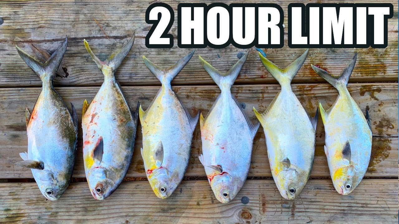 How To Catch BIG Florida Pompano From The Beach (Surf Fishing With Jig & Teaser Rig)