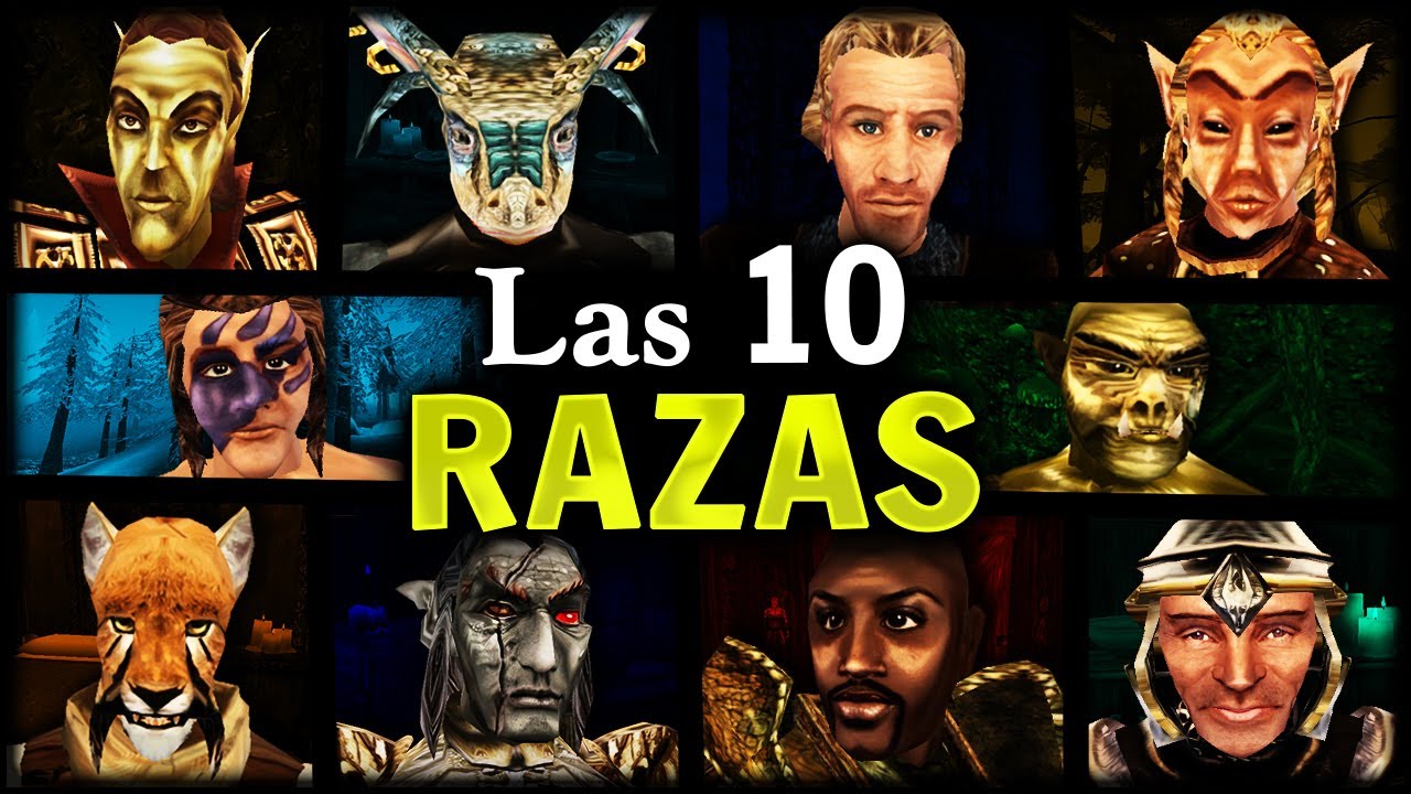 Las 10 RAZAS del TES 3 MORROWIND y la Función que CUMPLE CADA UNO │ [ 𝗚𝗨𝗜𝗔 ]