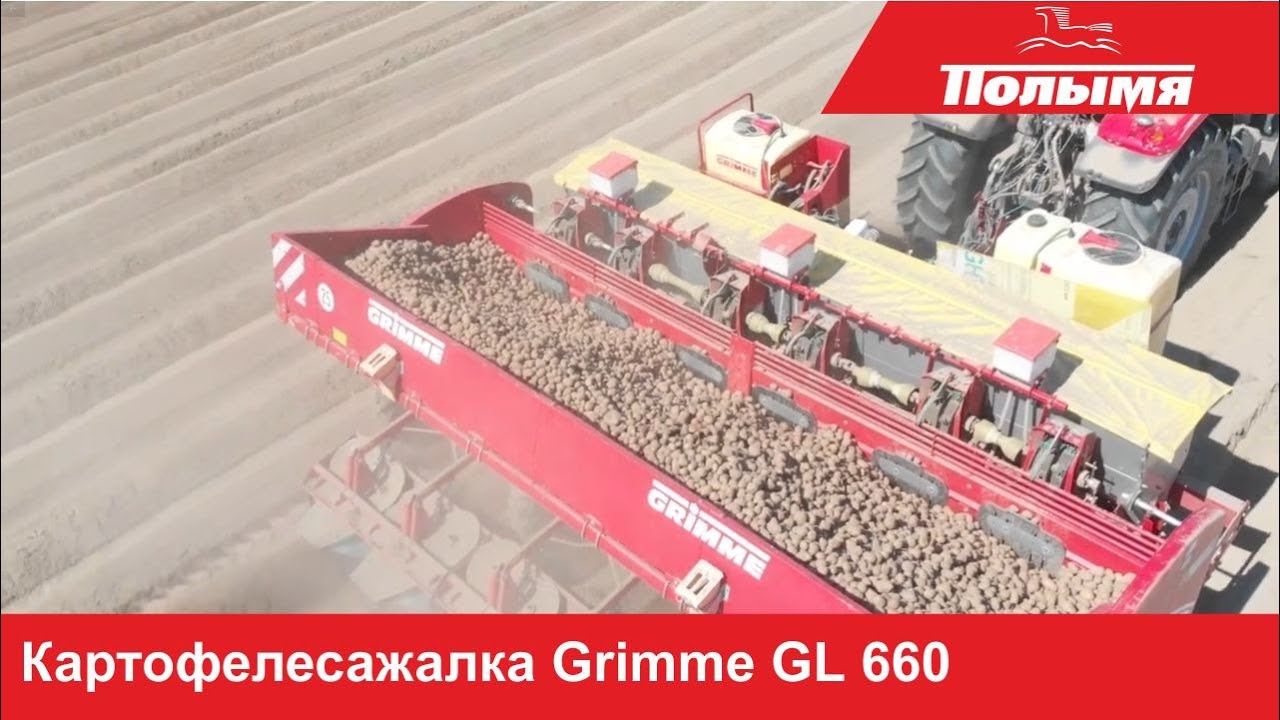 Grimme GL 660 - шестирядная картофелесажалка в работе