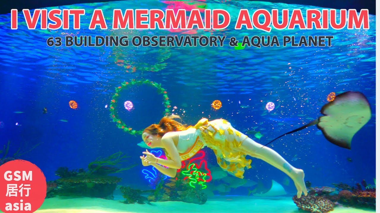 63 здания Aqua Planet, обсерватории и музея цветов в Сеуле, Корея