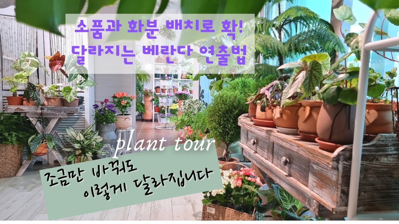 SUB) 화분 배치에 따라서 완전히 달라지는 플랜테리어 꿀팁 / 식물을 돋보이게 하는 감각적 화분 배치법 / 베란다 화분 배치 다양한 방법