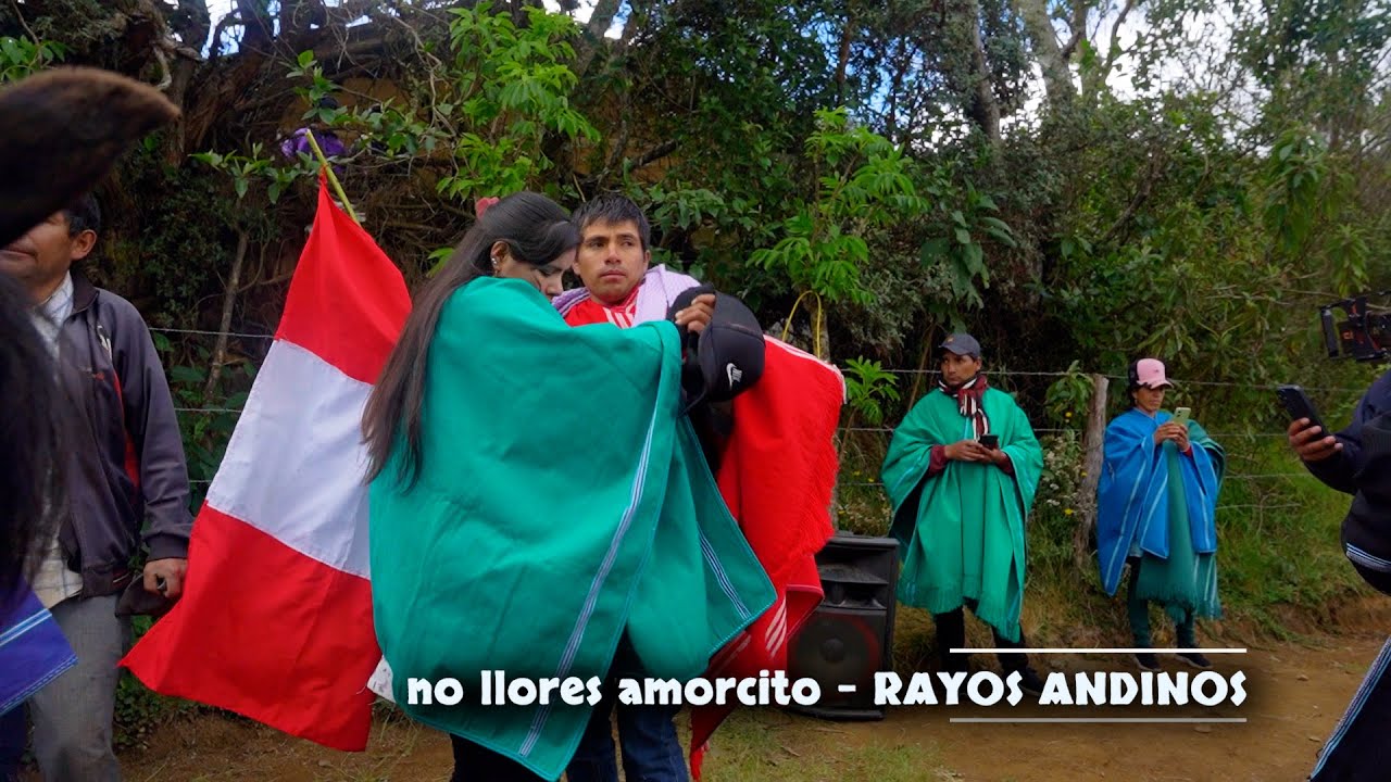 NO LLORES AMORCITO - RAYOS ANDINOS 2026
