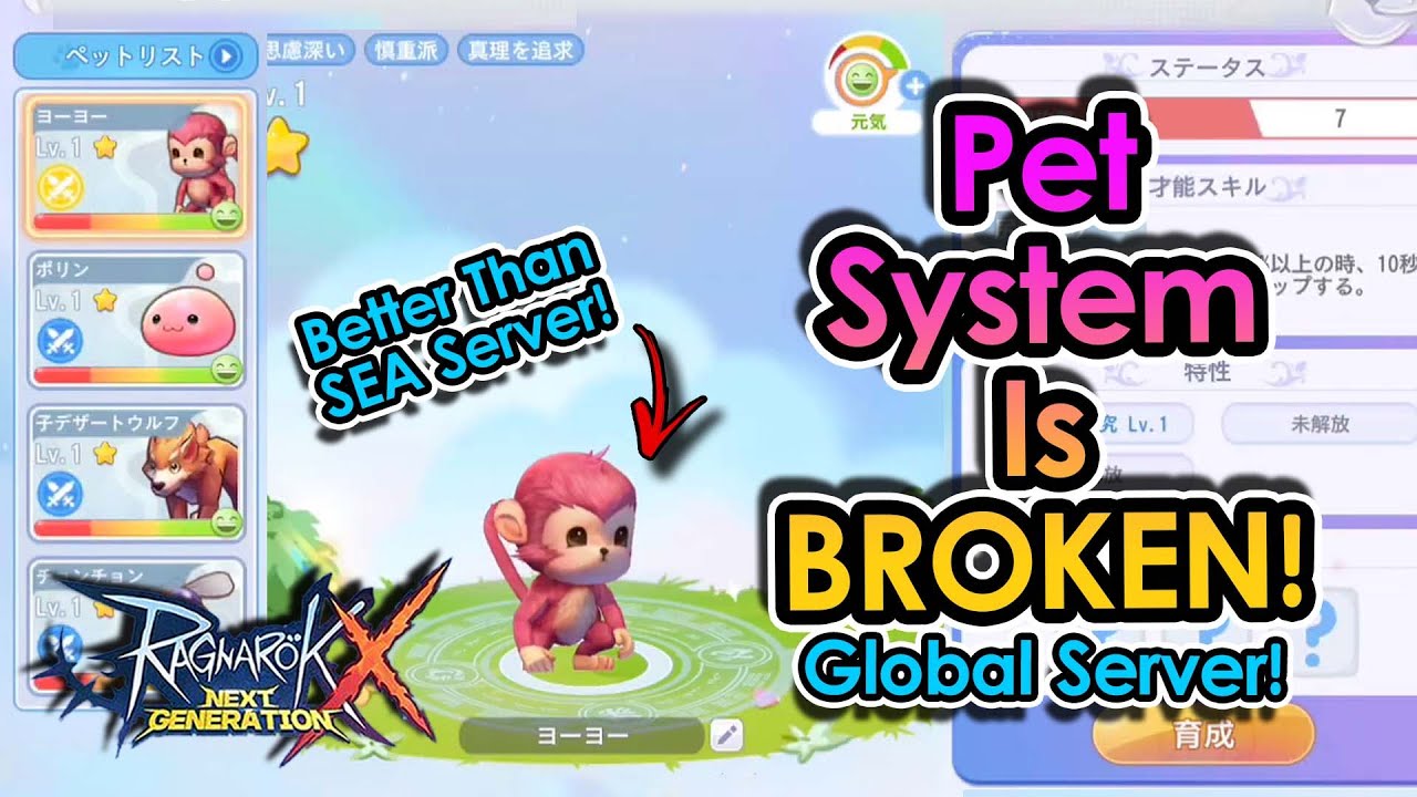 [ROX Global] 10x Better Than SEA?! ROX Global’s PET SYSTEM IS BROKEN! | King Spade