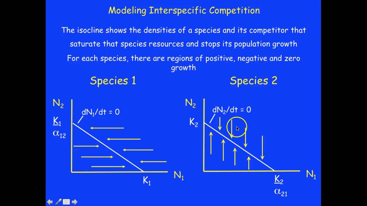 Understanding No Growth Isocline Graphs