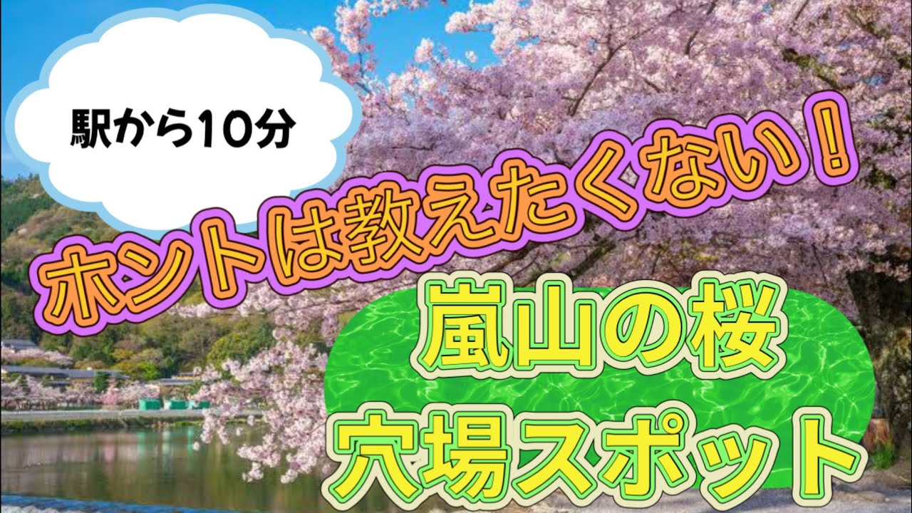 【Kyoto｜Arashiyama】お花見シーズン到来！京都・嵐山｜本当は教えたくない駅から10分の超・穴場スポット２選【フォトジェニックMG】
