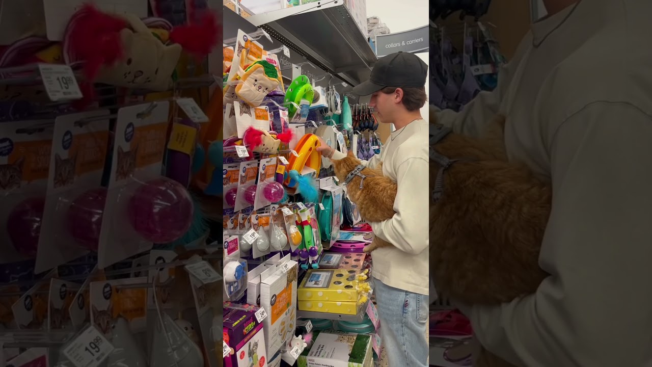 BUYING EVERYTHING MY CAT TOUCHES 🤯 #viral