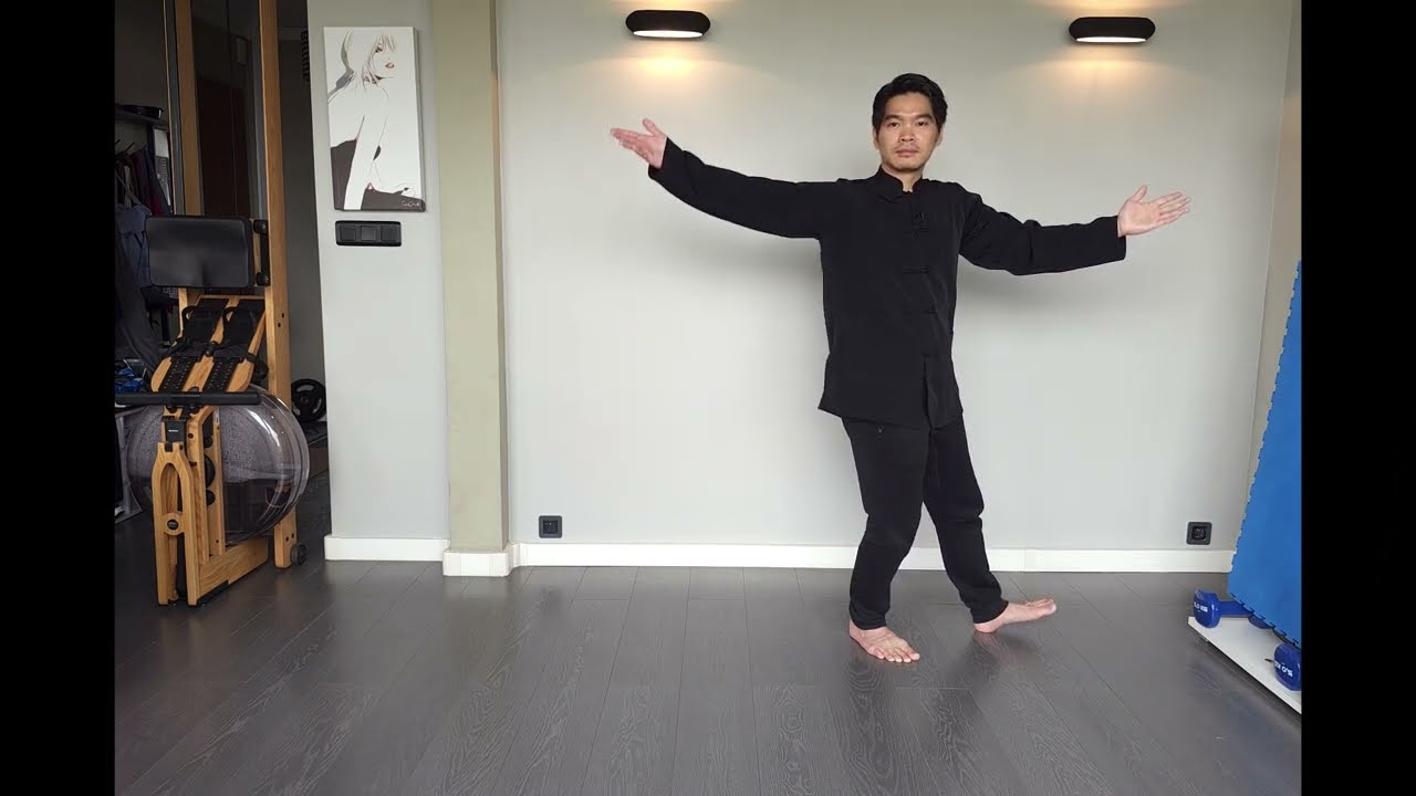 [Cours de Tai Chi 80] Tai Chi 24 - Enchainement saisir la queue de l'oiseau
