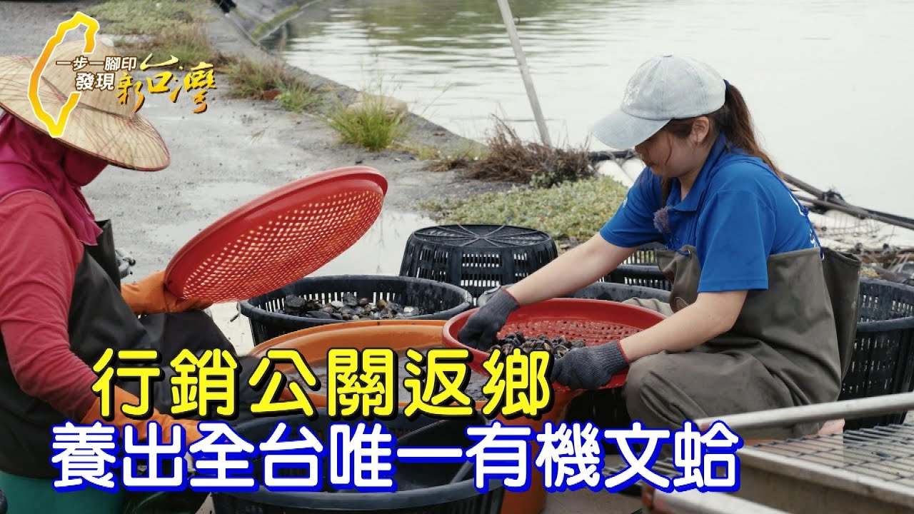 【彰化】蛤蜊暴斃大賠 女行銷公關偕弟返鄉救家業 養出有機文蛤∣一步一腳印【家合事興有機文蛤】20230723