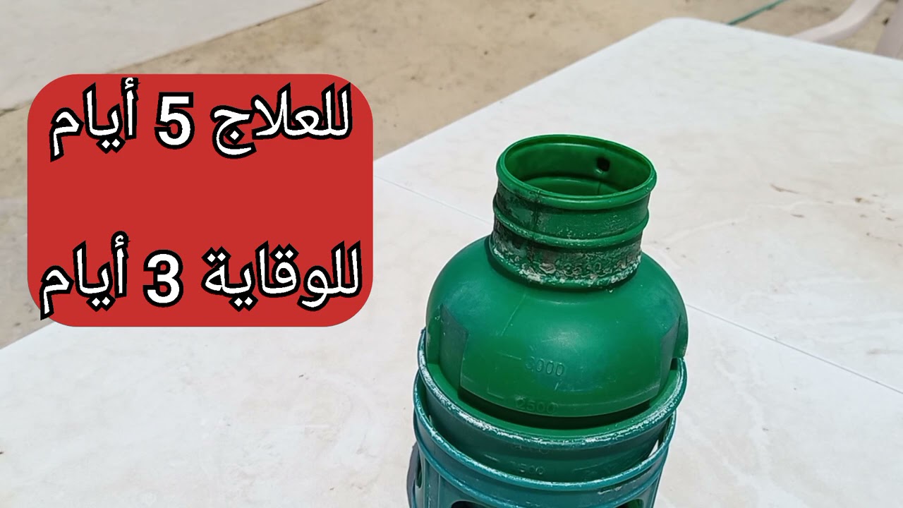 افضل علاج فعال وفتاك لمرض التنفس والكنكر على الاطلاق