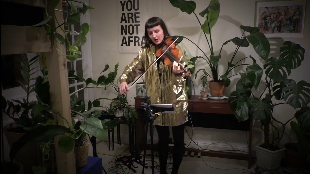 Johanna Burnheart | Falke - live (solo)
