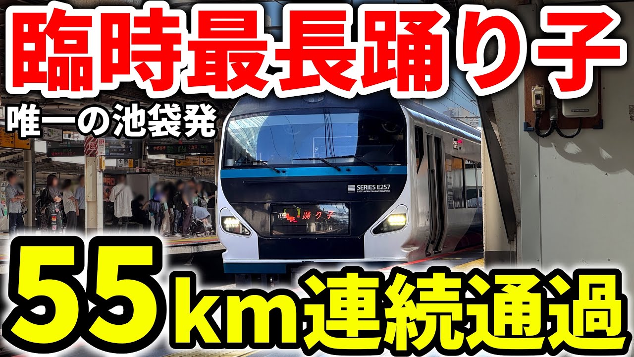 【1日1本】唯一の池袋発着！最長距離を走る俊足特急踊り子に乗車！　特急踊り子3号　　　
