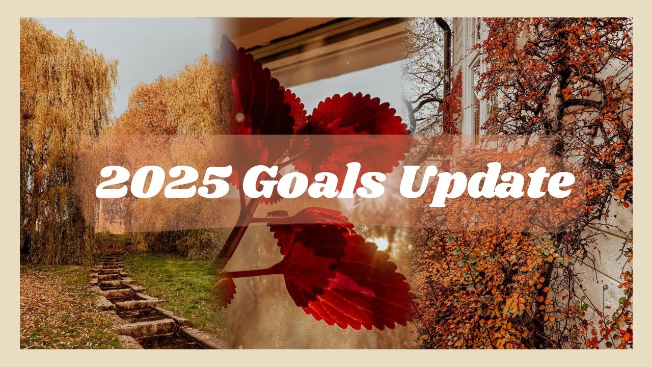 2025 GOALS UPDATE // where I am at and what's next