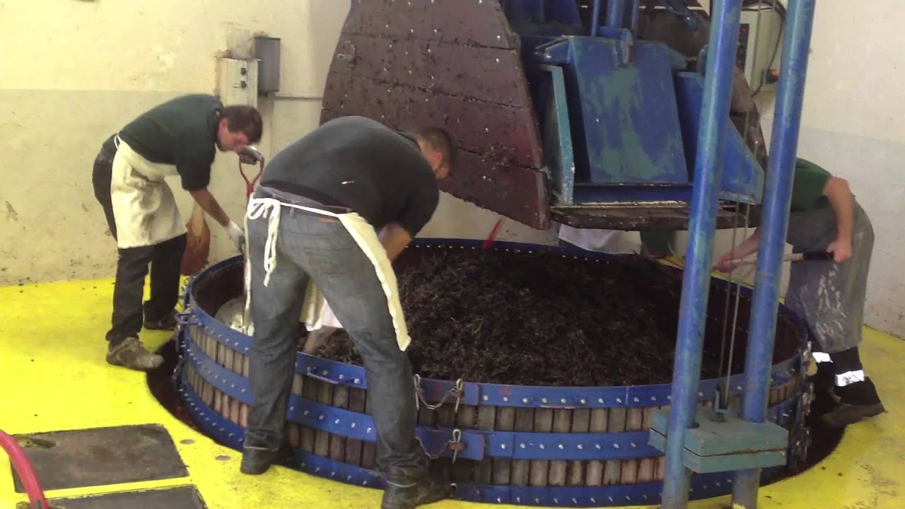 Pressing grapes at Roger Brun, Ay