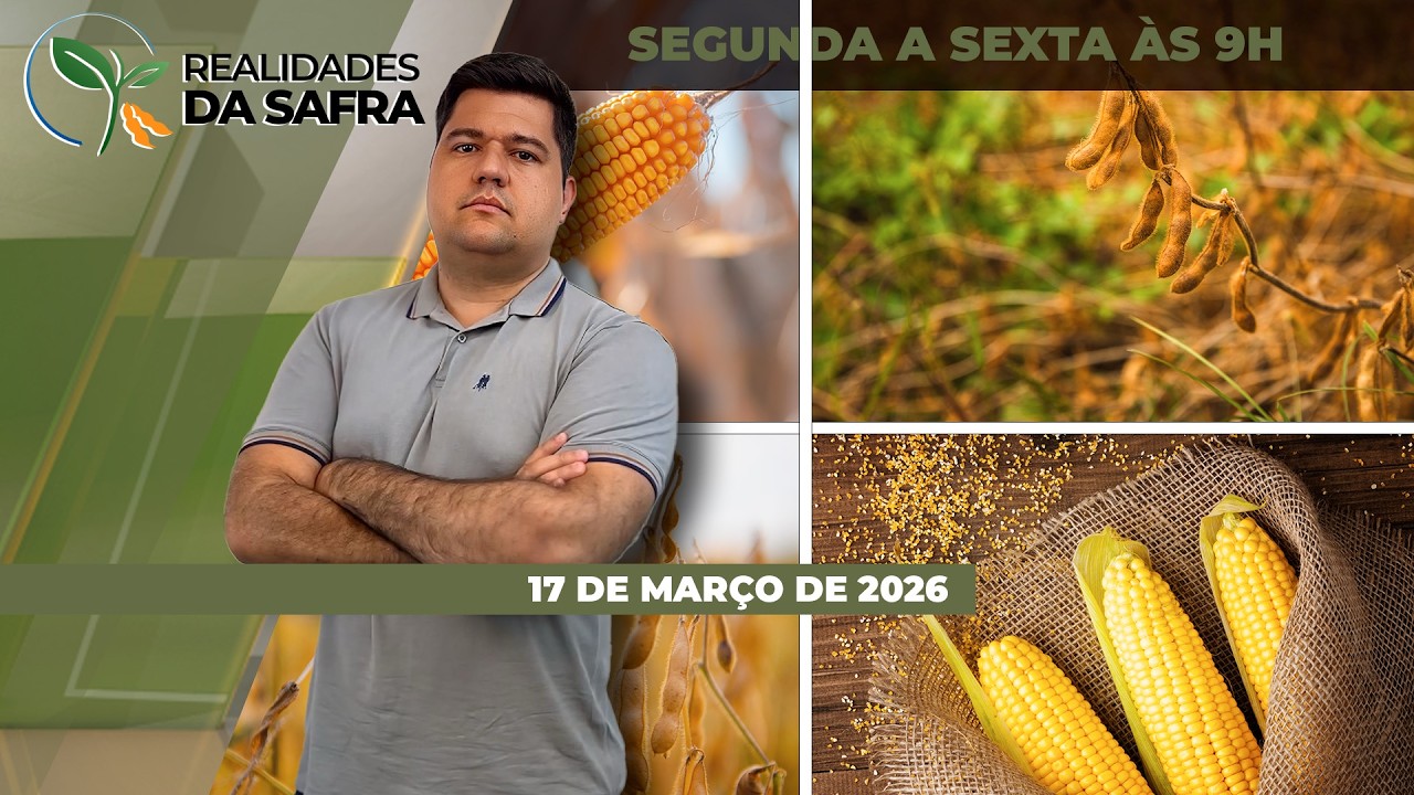 Soja do Rio Grande do Sul deve ter menor produtividade do Brasil, enquanto Rondônia espera boa safra