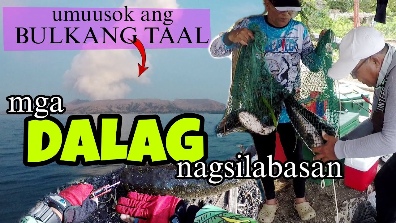MALALAKING DALAG/SNAKEHEAD NAGLABASAN SA TAAL LAKE! KAHIT UMUUSOK NA ANG BULKAN AY SUGOD PA DIN!
