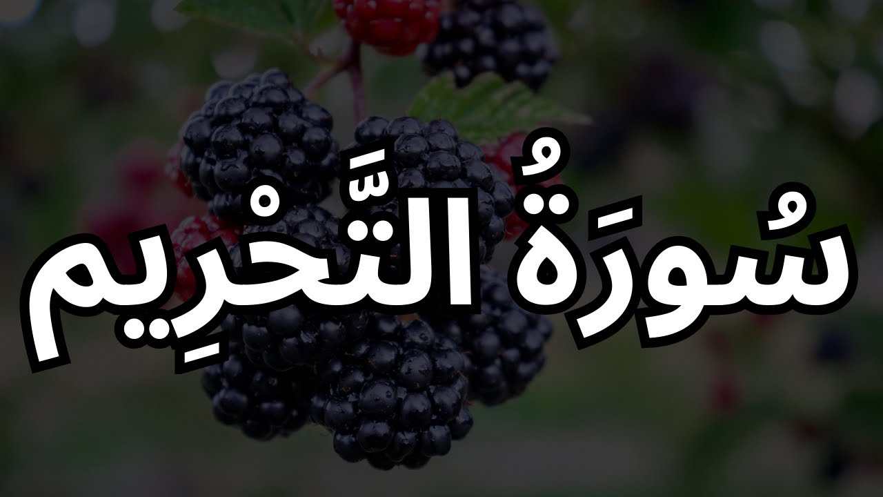 Surah At-Tahrim | سورة التحريم | Powerful Quran Recitation with Arabic Text