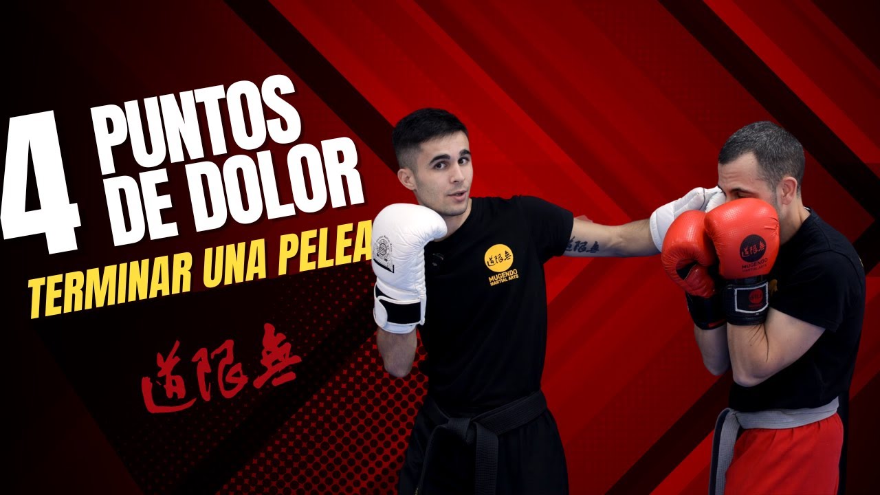 GANA UNA PELEA RÁPIDAMENTE GOLPEANDO 4 PUNTOS DE DOLOR