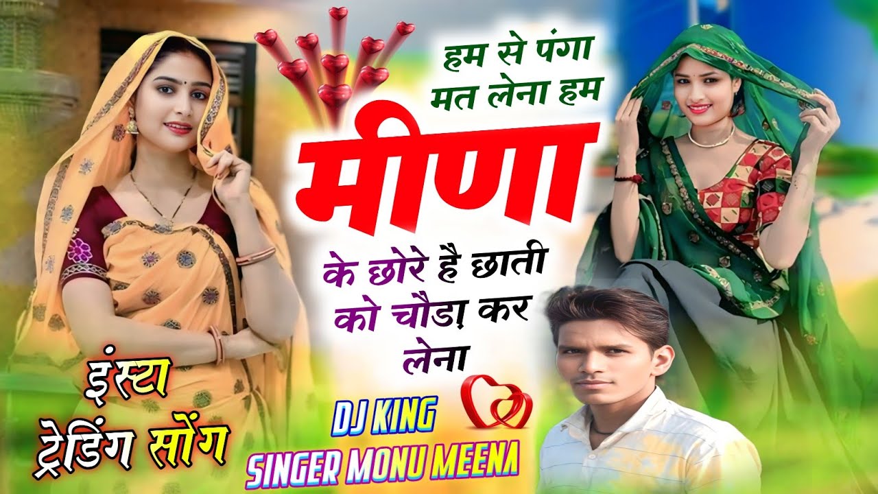 हम मीणा के छोरे है ll Hum Meena Ke Chore ll Singer Monu Meena ll Instragram Trending Gangster Song 
